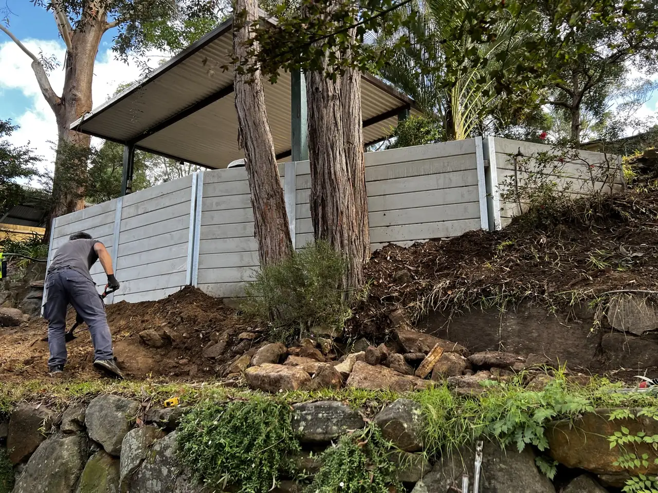 White concrete sleeper retaining wall built around established trees in the Hornsby Shire